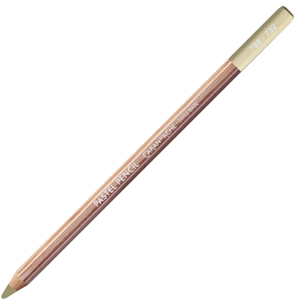 Pastela sucha w kredce Pastel Pencil - Caran d'Ache - 732, Brown Olive 10%