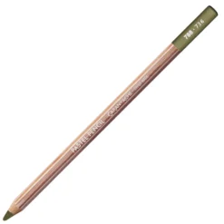 Pastela sucha w kredce Pastel Pencil - Caran d'Ache - 736, Brown Olive 50%