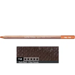 Pastela sucha w kredce Pastel Pencil - Caran d'Ache - 748, Dark Flesh