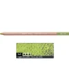 Pastela sucha w kredce Pastel Pencil - Caran d'Ache - 245, Light Olive 40%