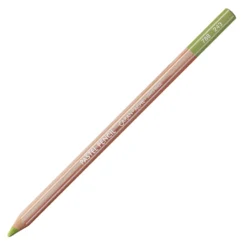 Pastela sucha w kredce Pastel Pencil - Caran d'Ache - 245, Light Olive 40%
