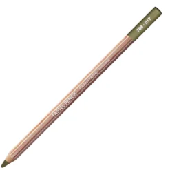 Pastela sucha w kredce Pastel Pencil - Caran d'Ache - 017, Light Reseda
