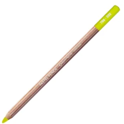 Pastela sucha w kredce Pastel Pencil - Caran d'Ache - 234, Middle Moss Green 30%