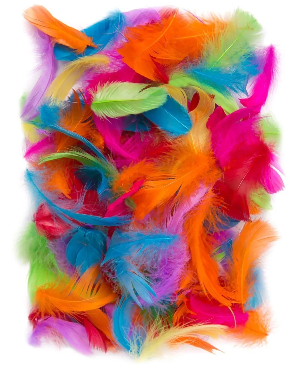 Piórka dekoracyjne, kolorowe - DpCraft - brights, 10 g