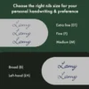 Pióro wieczne AL-star Special Edition - Lamy - Pine F