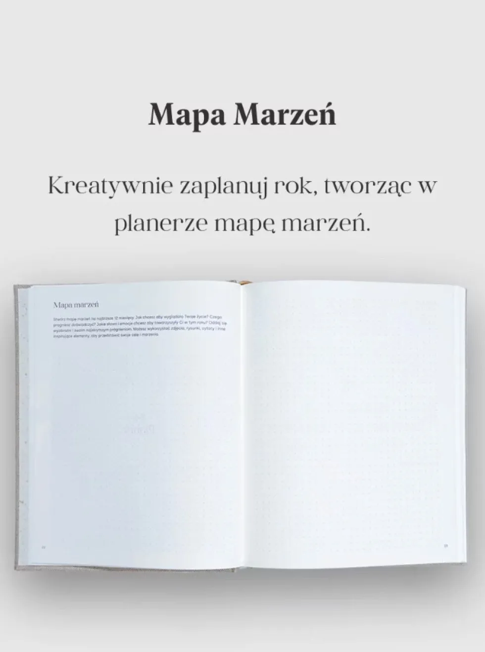 Planer Jaśnie Plan niedatowany - szałwiowy