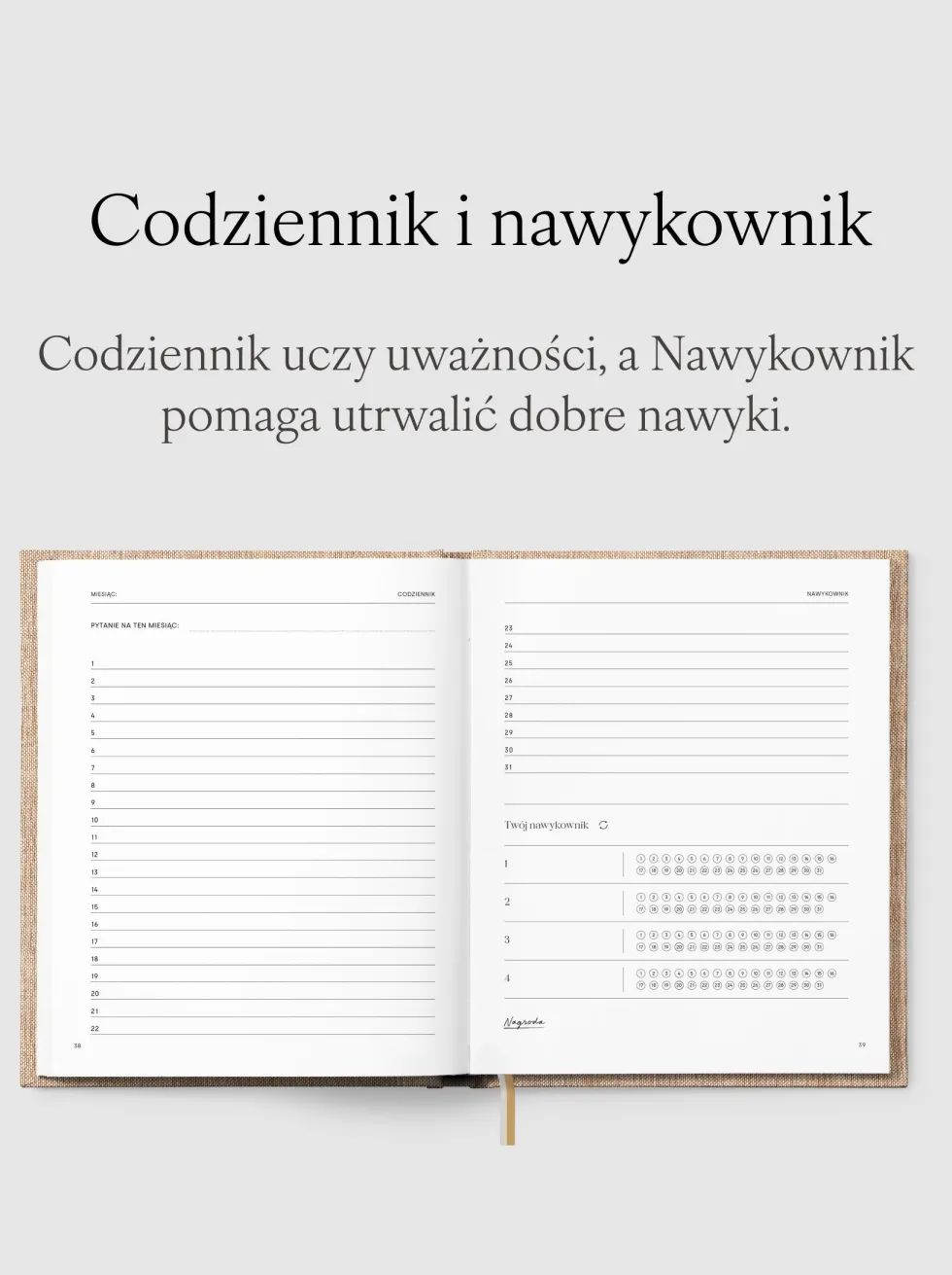 Planer niedatowany - Jaśnie Plan - Baby Pink