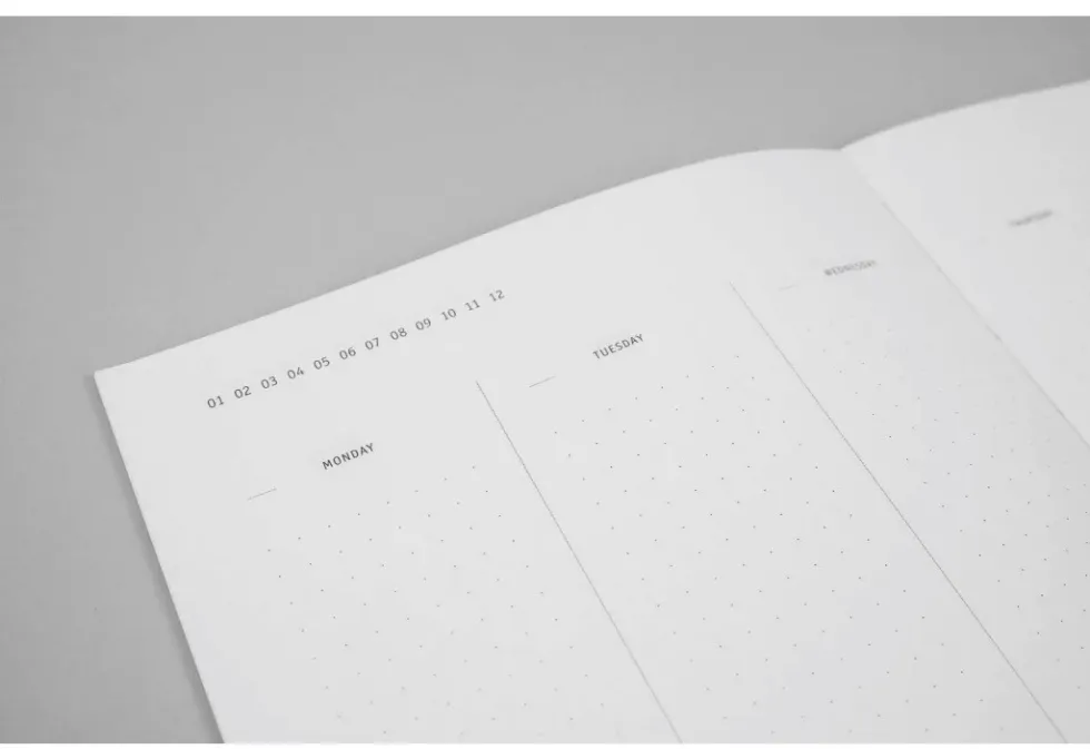 Planner niedatowany Klasyk - Papierniczeni - eukaliptus, twarda okładka
