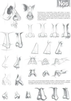 Poradnik Leonardo Compact Series - Koh-I-Noor - Podstawy Rysunku, Tom 3