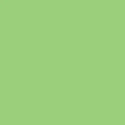 Promarker Brush - Winsor & Newton - Apple