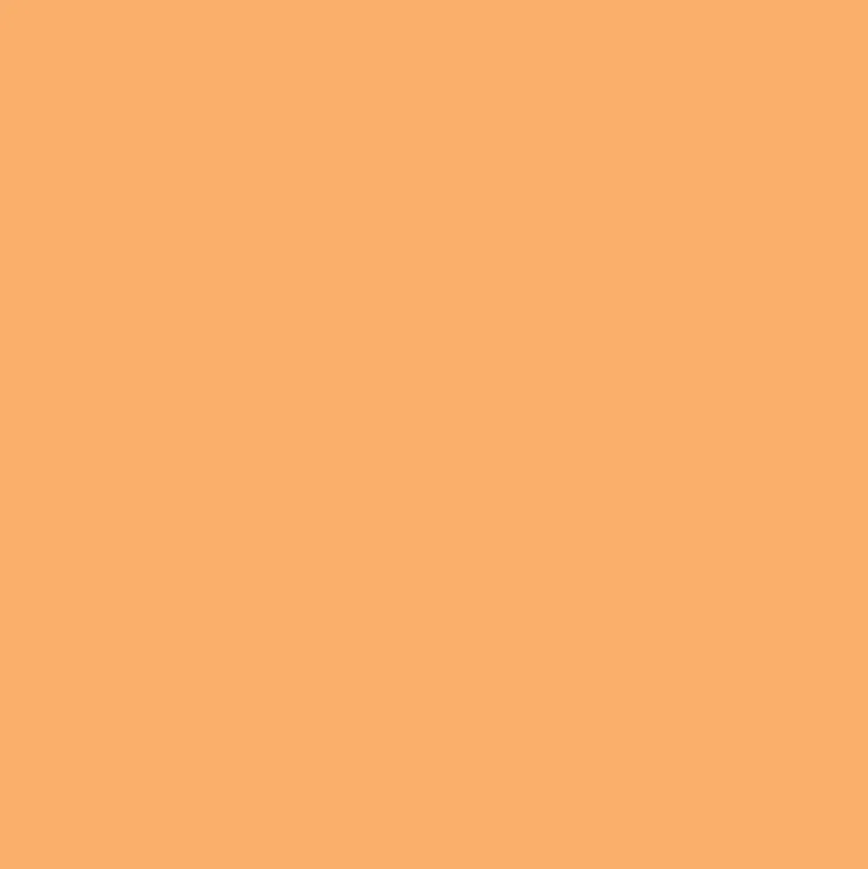 Promarker Brush - Winsor & Newton - Apricot
