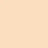 Promarker Brush - Winsor & Newton - Blush