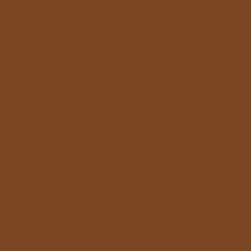 Promarker Brush - Winsor & Newton - Burnt Sienna