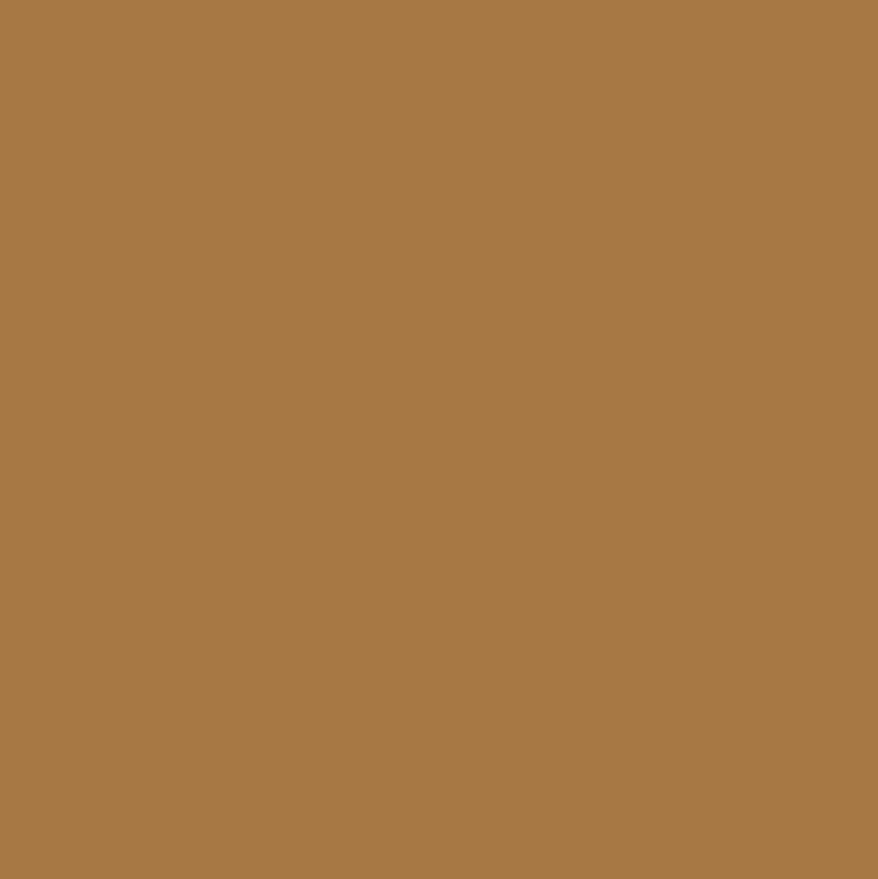 Promarker Brush - Winsor & Newton - Cocoa