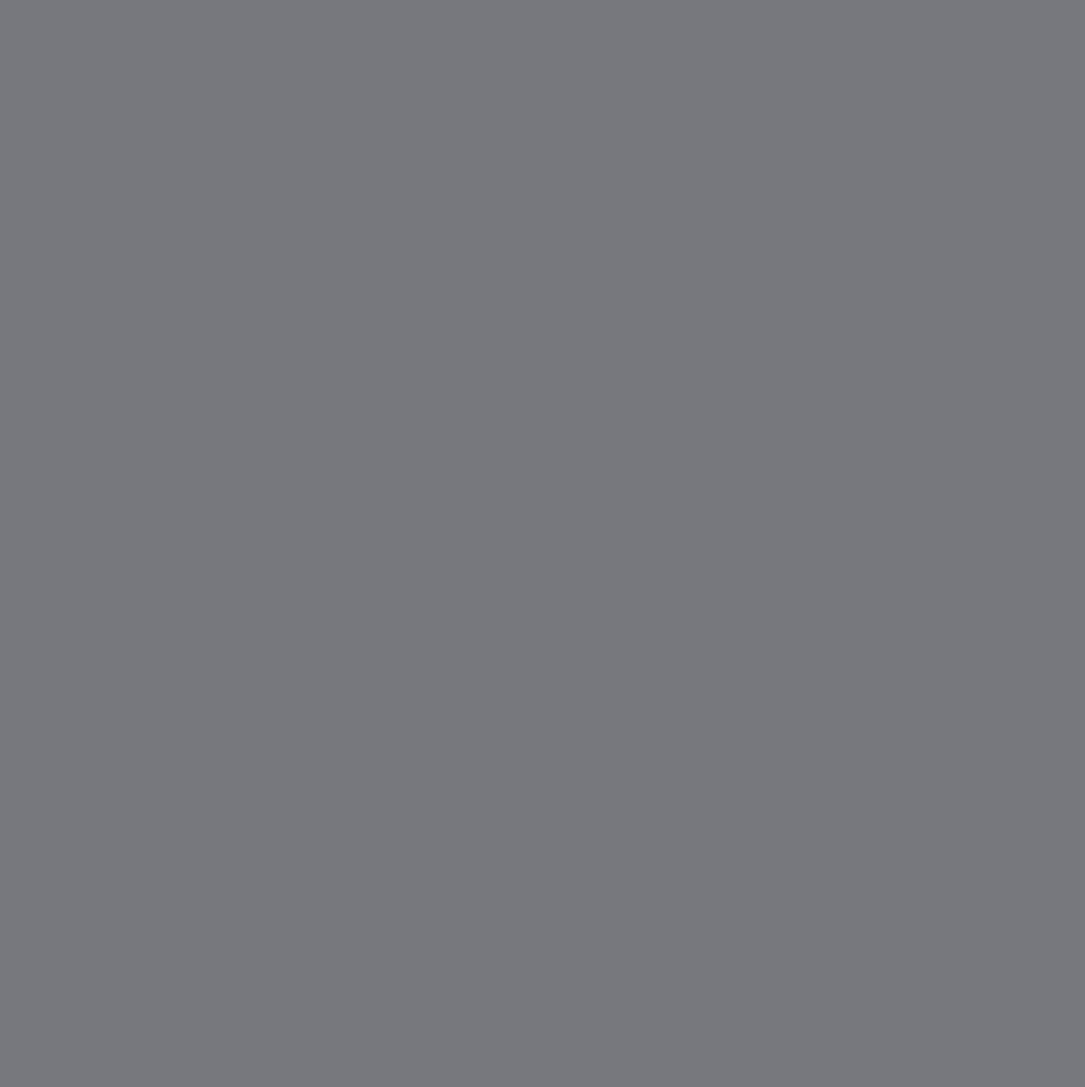 Promarker Brush - Winsor & Newton - Cool Grey 2