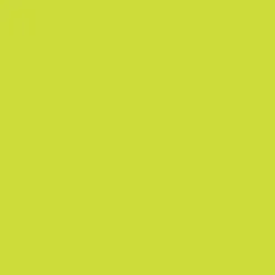 Promarker Brush - Winsor & Newton - Lime Green