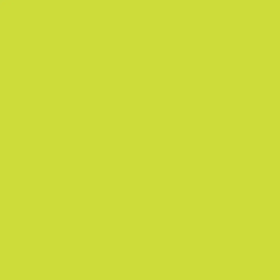 Promarker Brush - Winsor & Newton - Lime Green