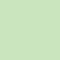 Promarker Brush - Winsor & Newton - Meadow Green
