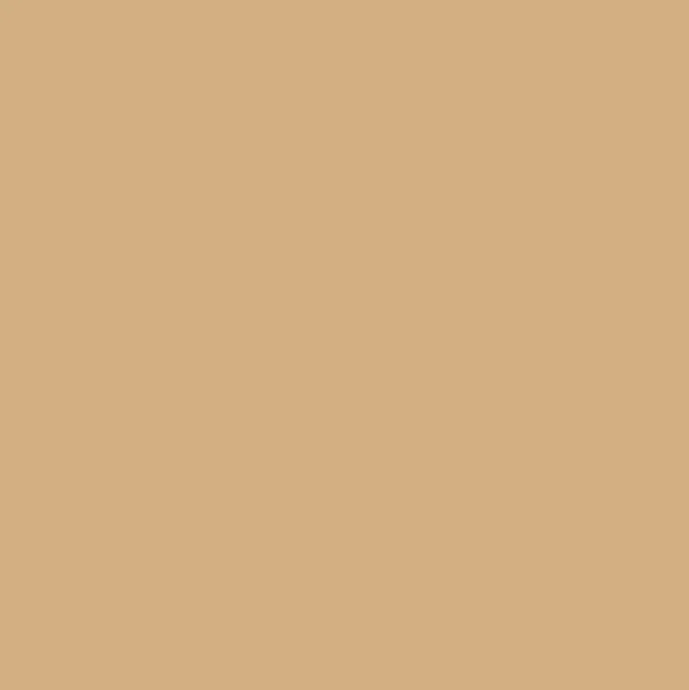 Promarker Brush - Winsor & Newton - Praline