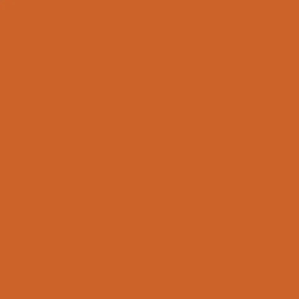 Promarker Brush - Winsor & Newton - Saddle Brown