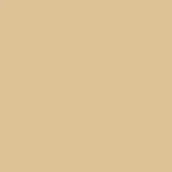 Promarker Brush - Winsor & Newton - Sandstone