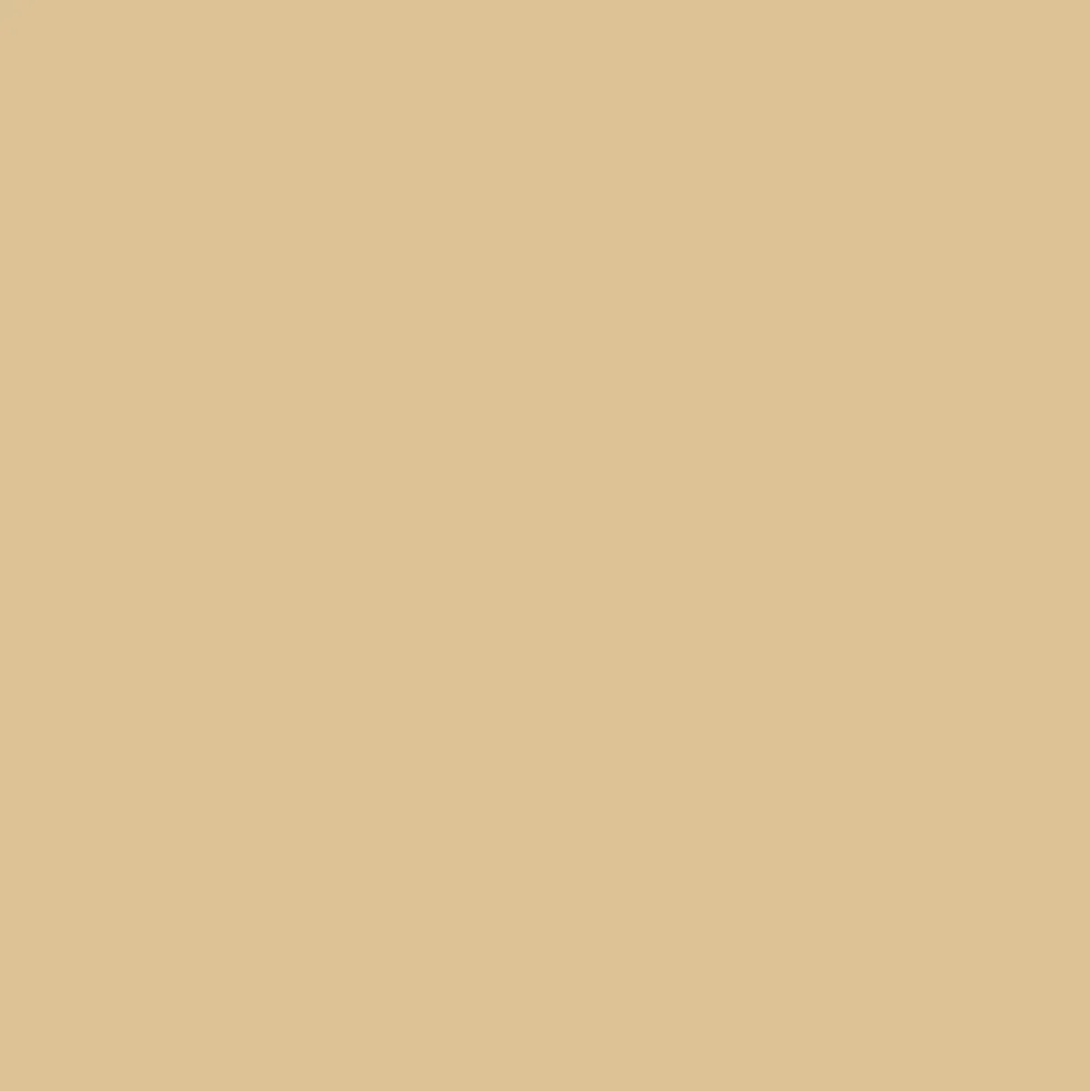 Promarker Brush - Winsor & Newton - Sandstone