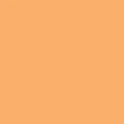 Promarker - Winsor & Newton - Apricot