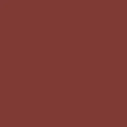 Promarker - Winsor & Newton - Burnt Mahogany