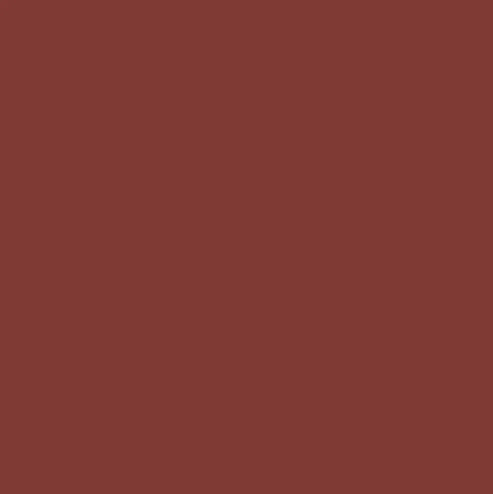 Promarker - Winsor & Newton - Burnt Mahogany
