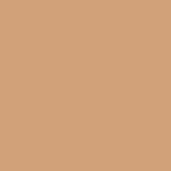 Promarker - Winsor & Newton - Cinnamon
