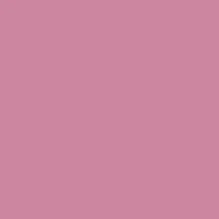 Promarker - Winsor & Newton - Dusky Rose