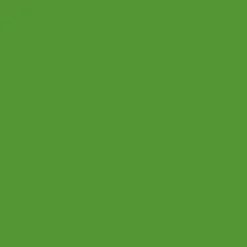 Promarker - Winsor & Newton - Forest Green