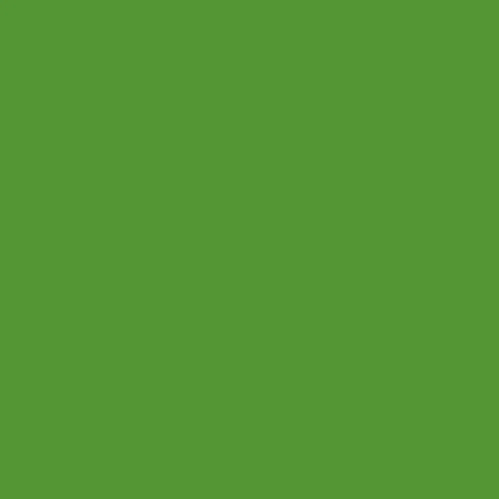 Promarker - Winsor & Newton - Forest Green