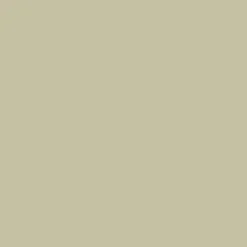 Promarker - Winsor & Newton - Khaki