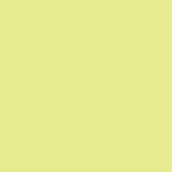 Promarker - Winsor & Newton - Lime Zest