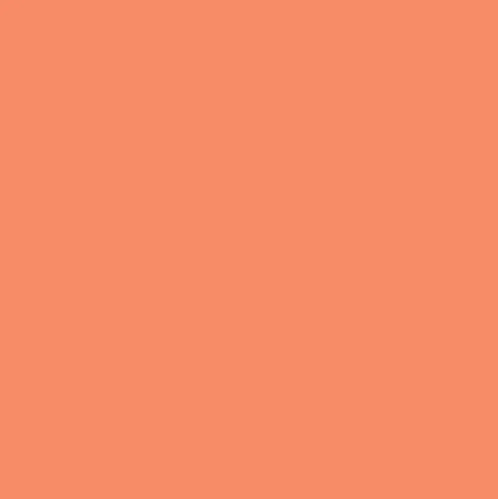 Promarker - Winsor & Newton - Peach