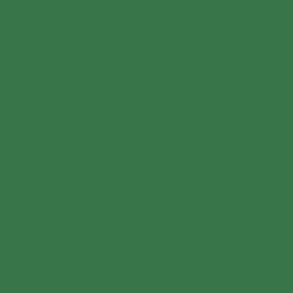 Promarker - Winsor & Newton - Pine
