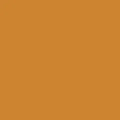 Promarker - Winsor & Newton - Raw Sienna