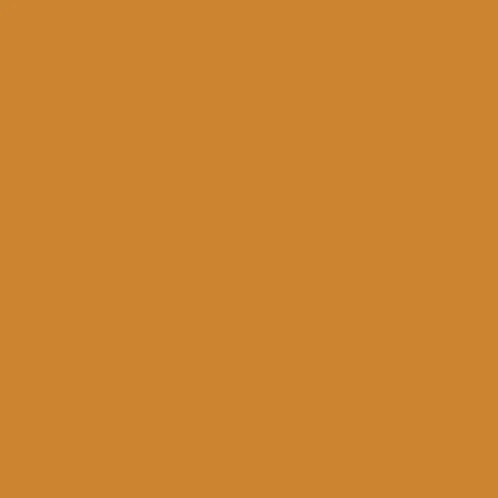 Promarker - Winsor & Newton - Raw Sienna