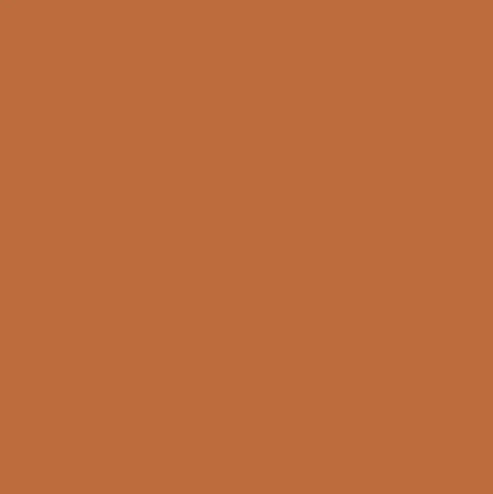 Promarker - Winsor & Newton - Saddle Brown