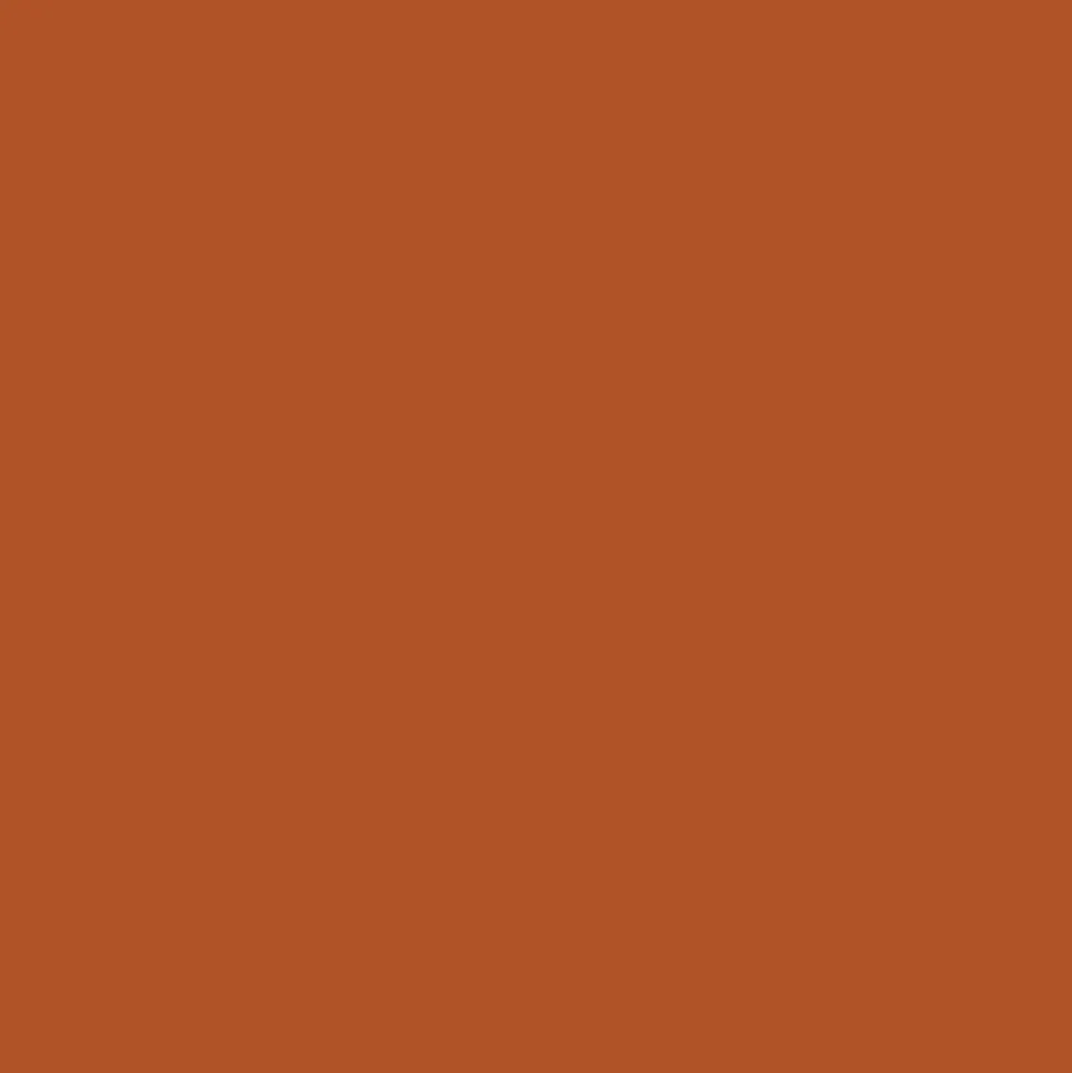 Promarker - Winsor & Newton - Terracotta