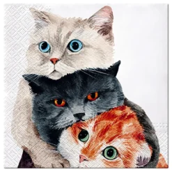 Serwetki ozdobne - Paw - Better Together, 20 szt.