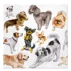 Serwetki ozdobne - Paw - Dog Happiness, 20 szt.