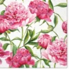 Serwetki ozdobne - Paw - Pink Peonies, 20 szt.