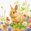 Serwetki ozdobne - Paw - Spring Morning, 20 szt.