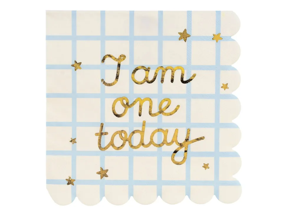 Serwetki papierowe I Am One Today - 16,5 x 16,5 cm, 12 szt.