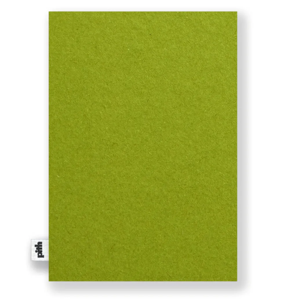 Szkicownik Cara Cara 20 x 14 cm - pith - Chartreuse