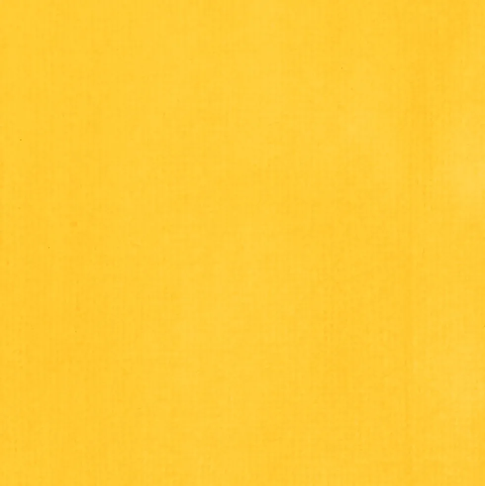 Tusz akrylowy - Liquitex - Cadmium Yellow Light Hue, 30 ml