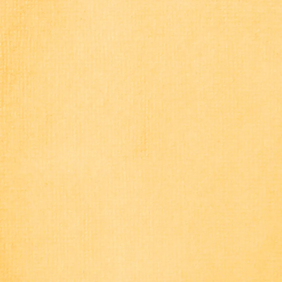 Tusz akrylowy - Liquitex - Yellow Oxide, 30 ml
