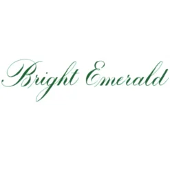 Tusz do kaligrafii India Ink - Speedball - Bright Emerald 29 ml